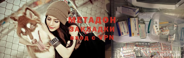 прущие грибы Алексин
